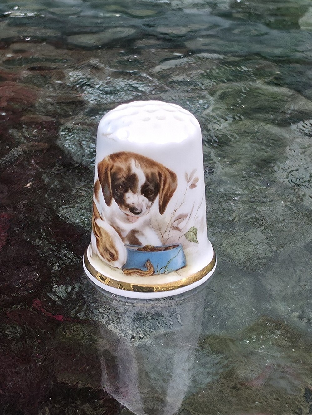 Birchcroft Fine Bone China Thimble